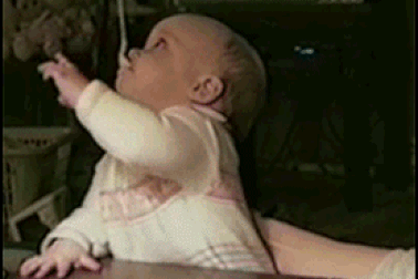 Cười vui đầu tuần với loạt ảnh động siêu hài hước