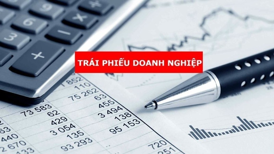 Nghìn tỷ đồng giao tay đại gia nhà đất, lời cảnh báo ham lãi suất cao - 1 Nghìn tỷ đồng giao tay đại gia nhà đất, lời cảnh báo ham lãi suất cao - 1