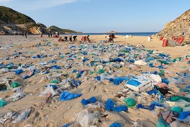 Hàng trăm người thu gom 30 tấn rác, "giải cứu" bãi biển xinh đẹp