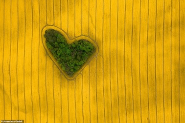 Những góc nhìn trên cao tuyệt đẹp về thế giới