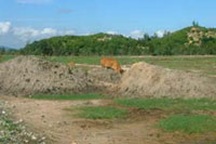 Tiêu cực trong đấu giá đất của EPCO - Minh Phụng: Bao giờ mới xử lý?