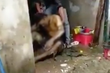 Đôi vợ chồng chết cháy trong căn nhà khoá trái, bỏ lại 3 đứa con thơ