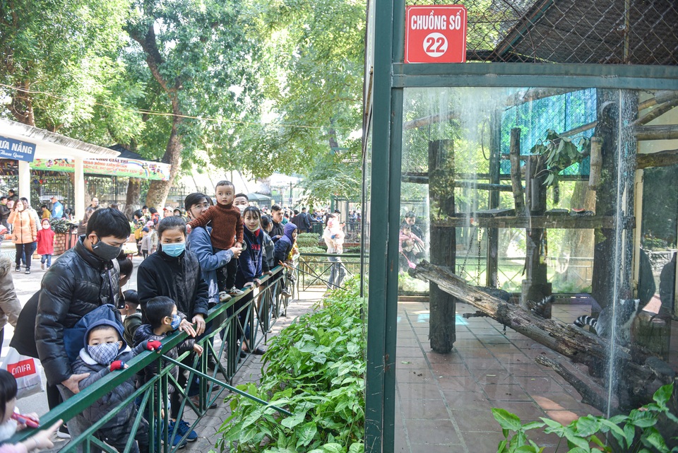 Biển người chen chân chật kín trong công viên Thủ Lệ dịp nghỉ Tết - 8 Biển người chen chân chật kín trong công viên Thủ Lệ dịp nghỉ Tết - 8