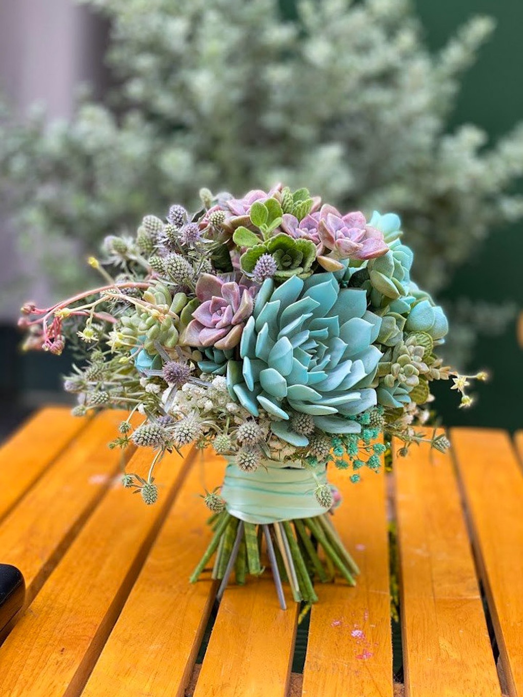 Nhổ sen đá cắm thành bình hoa khủng, giá tiền triệu vẫn hút khách - 10 Nhổ sen đá cắm thành bình hoa khủng, giá tiền triệu vẫn hút khách - 10