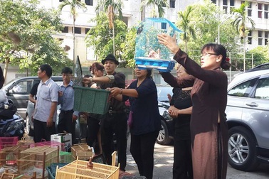 Hình ảnh chim phóng sinh trong lễ tang nhạc sĩ An Thuyên