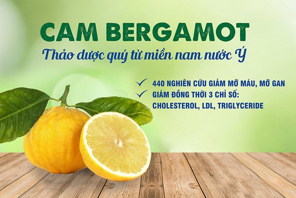 Bộ đôi tinh chất từ châu Âu hỗ trợ giảm mỡ máu, mỡ gan - 2 Bộ đôi tinh chất từ châu Âu hỗ trợ giảm mỡ máu, mỡ gan - 2