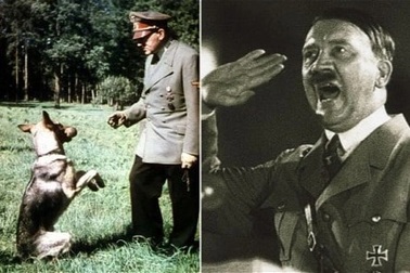 Bí mật về đội quân "chó biết nói" của Đức Quốc xã