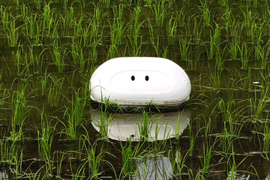 Người Nhật sáng chế robot "làm việc" ngoài ruộng lúa