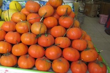 Săn quà quê biếu tết sếp