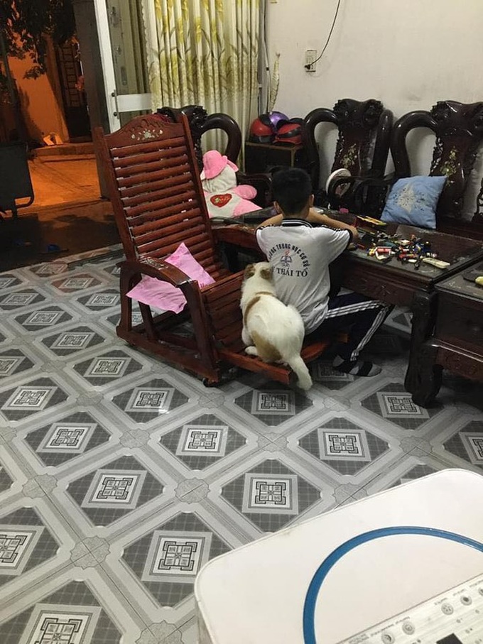 Thấy Sen khóc ấm ức, Boss xuất hiện bày trò để an ủi, ai nhìn vào cũng thấy dễ thương - Ảnh 4. Thấy Sen khóc ấm ức, Boss xuất hiện bày trò để an ủi, ai nhìn vào cũng thấy dễ thương - Ảnh 4.