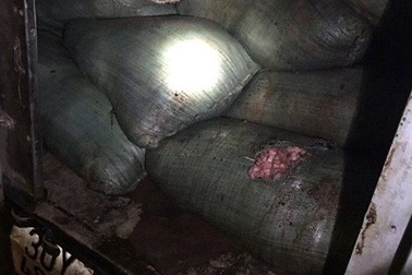 Hà Nội: Hơn 600kg mỡ bò thối bị bắt giữ trên đường đi tiêu thụ