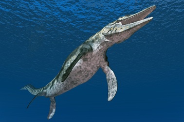 Xác nhận hóa thạch của mẫu vật thằn lằn biển bé nhất