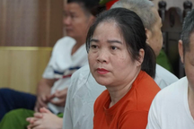 Người phụ nữ giết chủ nợ, phi tang xác dưới bể biogas xin giảm án