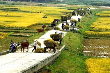 Đất và người miền núi phía Bắc qua một cuộc liên hoan ảnh nghệ thuật