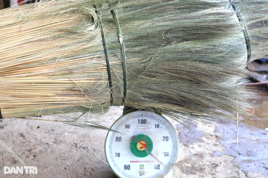 Mùa hái lộc trời ở miền núi xứ Quảng - 8