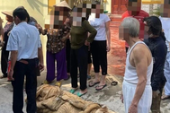 Vụ 3 con gái đốt nhà mẹ đẻ: Người mẹ qua đời