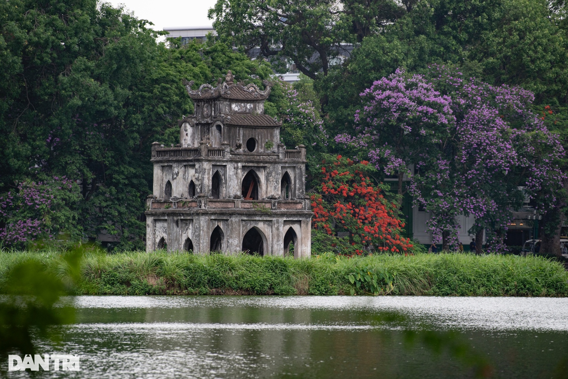 Giới trẻ xin nghỉ làm, tranh thủ 