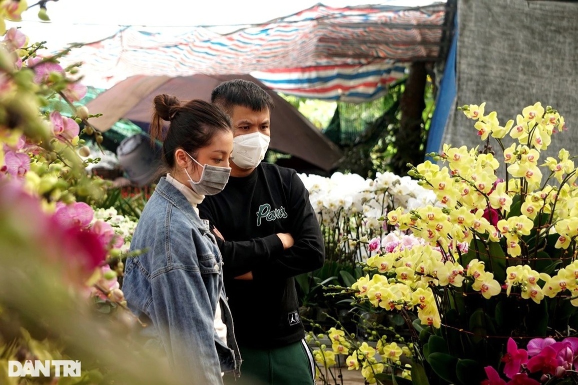 Thu nhập tiền tỷ nhờ bán lan hồ điệp vụ Tết ở Thanh Hóa - 5 Thu nhập tiền tỷ nhờ bán lan hồ điệp vụ Tết ở Thanh Hóa - 5