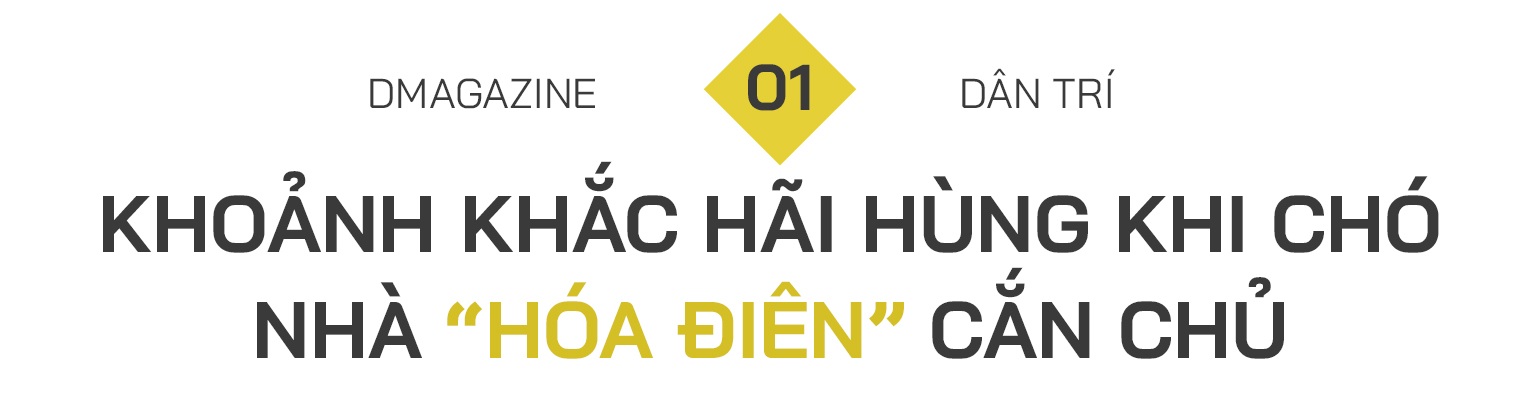 Nhát cắn đoạt mạng: Chết oan vì chó thả rông, thú cưng hóa điên phản chủ - 1 Nhát cắn đoạt mạng: Chết oan vì chó thả rông, thú cưng hóa điên phản chủ - 1