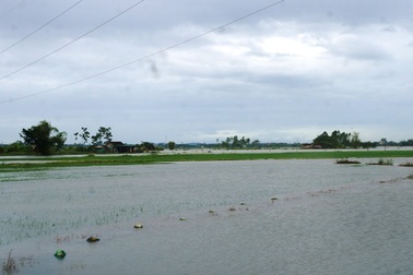 Đề xuất hỗ trợ khẩn cấp hơn 280 tỷ đồng để khắc phục hậu quả bão số 3 và mưa lũ