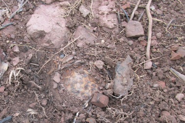 Phát hiện 22 quả bom bi nguy hiểm trong lúc làm vườn