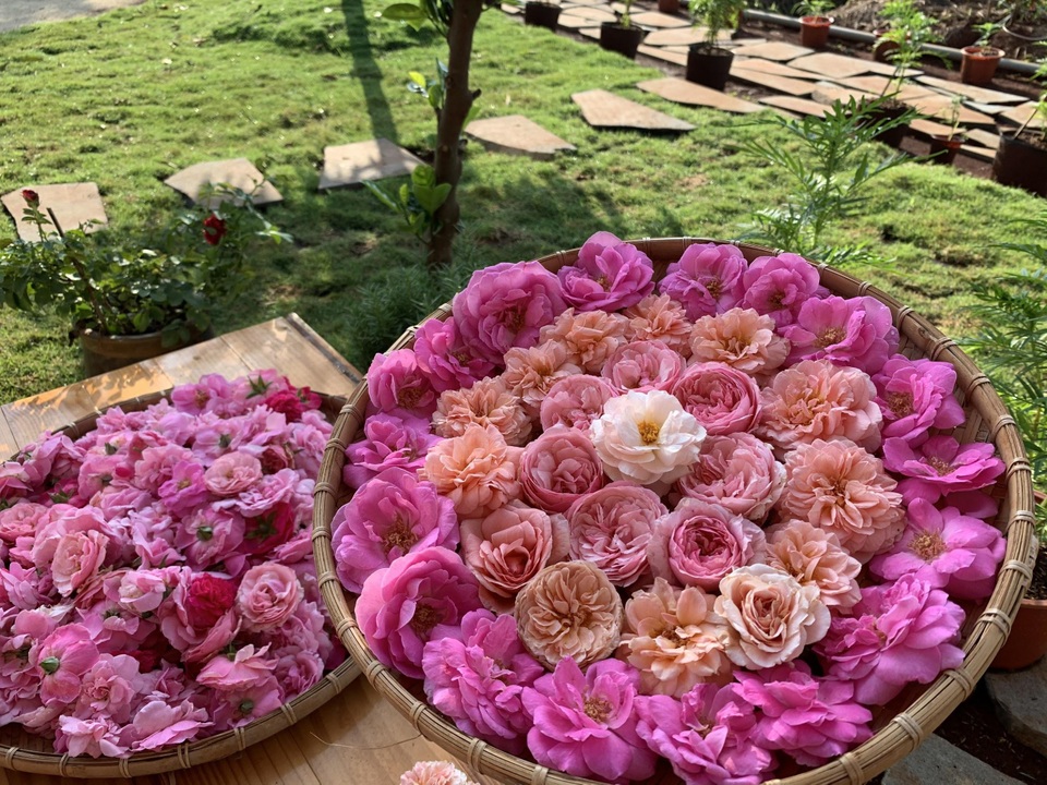 Chi tiền tỷ mua mảnh đất ngoại ô, vợ chồng ở Sài Gòn “trồng hoa, nuôi gà” - 12 Chi tiền tỷ mua mảnh đất ngoại ô, vợ chồng ở Sài Gòn “trồng hoa, nuôi gà” - 12