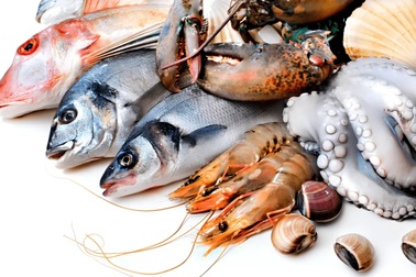 Chứng khoán giằng co, cổ phiếu thuỷ sản "cháy hàng"