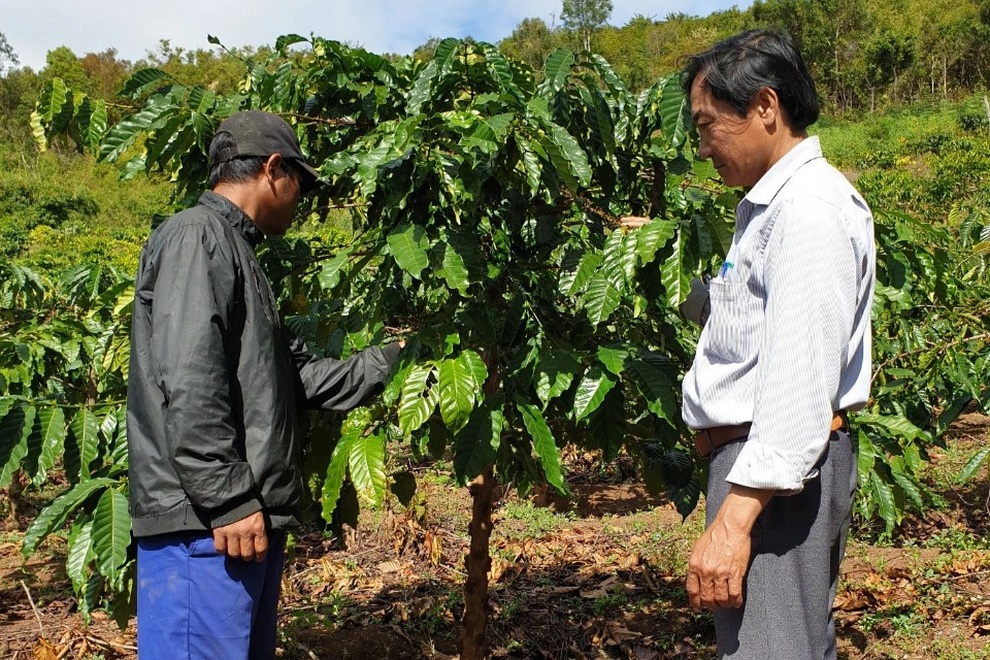 Chuyển đổi nghề cho lao động vùng cao thường sống dựa vào rừng - 2 Chuyển đổi nghề cho lao động vùng cao thường sống dựa vào rừng - 2