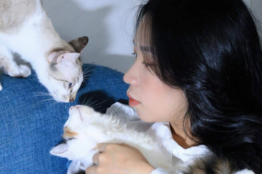 Năm Mão, nói chuyện "Sen" và "Boss"