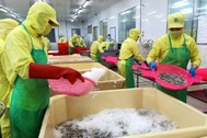 Cà Mau dự báo nhu cầu lao động, nhân lực chất lượng cao