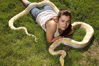 Thiếu nữ sống chung với trăn dài hơn 5m