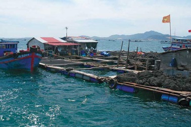 Vịnh Cam Ranh: Chuyện thật như bịa!