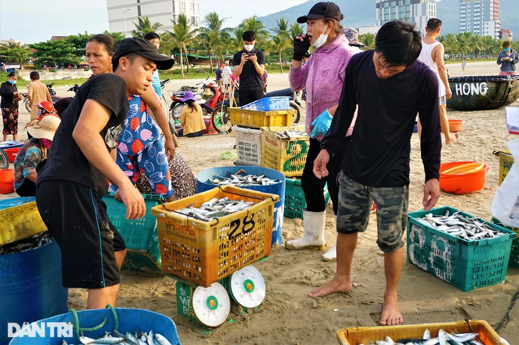 Phiên chợ lúc rạng đông, chỉ bán cá nục tươi - 7 Phiên chợ lúc rạng đông, chỉ bán cá nục tươi - 7