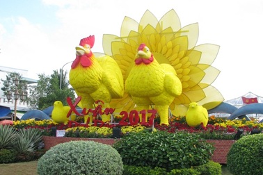 Ấn tượng hình gà “khủng” đón Tết Đinh Dậu
