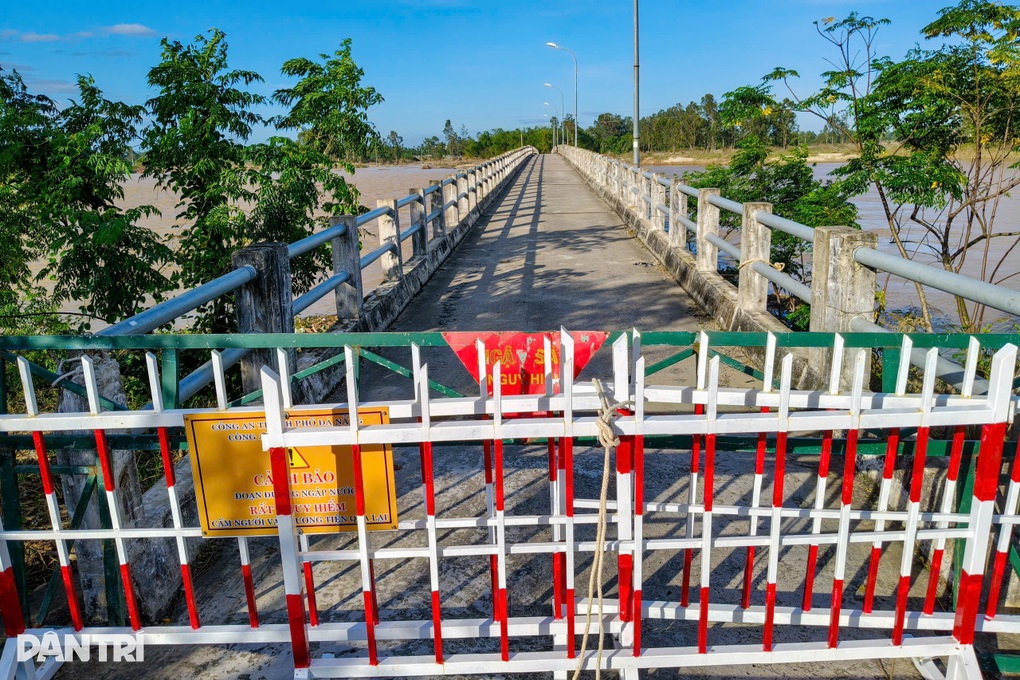 Lũ xé toạc cầu, chính quyền lệnh “giải cứu” công trình khẩn cấp - 3