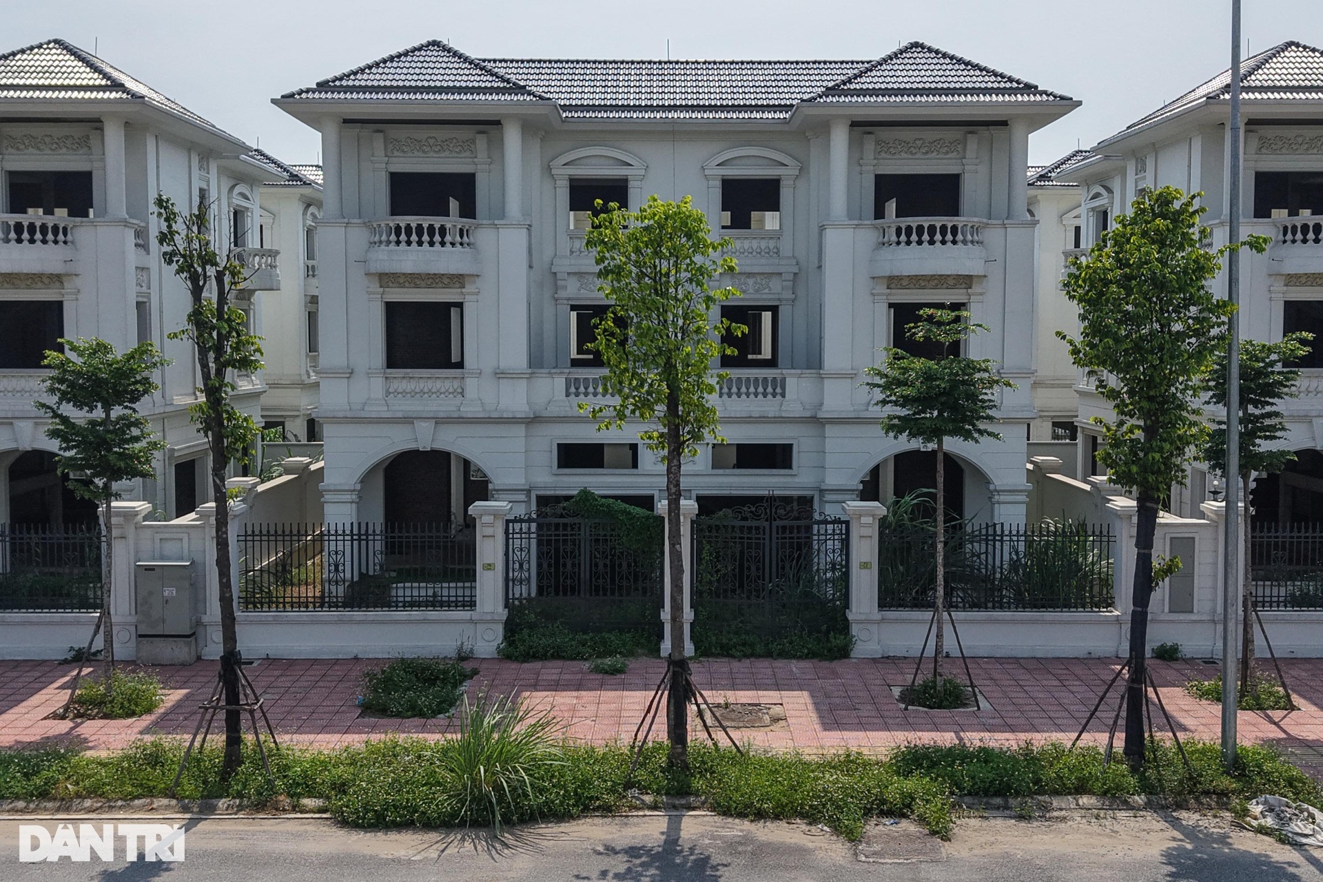 Hàng loạt biệt thự triệu đô bỏ hoang, cỏ mọc um tùm gây lãng phí ở Hà Nội - 4