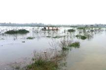 Lật ghe trên sông Đầm lúc rạng sáng, 2 mẹ con tử vong