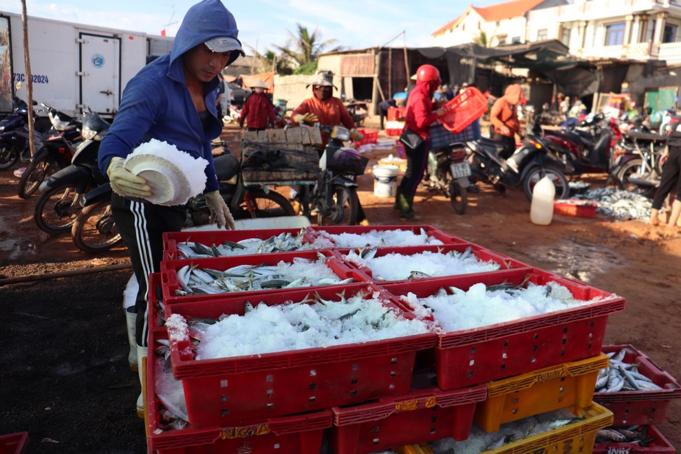 Quyên góp 5 tấn cá hỗ trợ lao động nghèo vùng dịch tại TP Hồ Chí Minh - 5 Quyên góp 5 tấn cá hỗ trợ lao động nghèo vùng dịch tại TP Hồ Chí Minh - 5