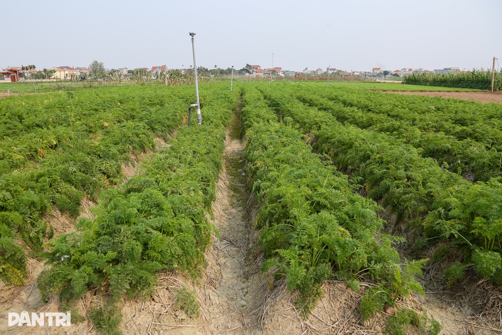 Những nông dân không bằng cấp, sáng chế máy móc đi 5 châu - 12 Những nông dân không bằng cấp, sáng chế máy móc đi 5 châu - 12