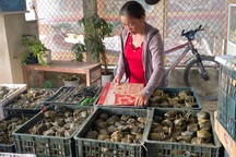 Người dân nơi thường bị lũ lụt hướng về đồng bào miền Bắc