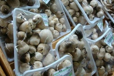 Tiện tay dùng tiền thừa mua vé số, không ngờ trúng 5 triệu USD