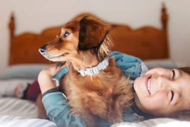 Chó có thể liên quan đến bệnh viêm gan "bí ẩn" ở trẻ?