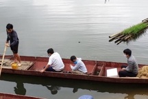 Phạt gần 400 triệu đồng doanh nghiệp xả thải khiến cá chết hàng loạt