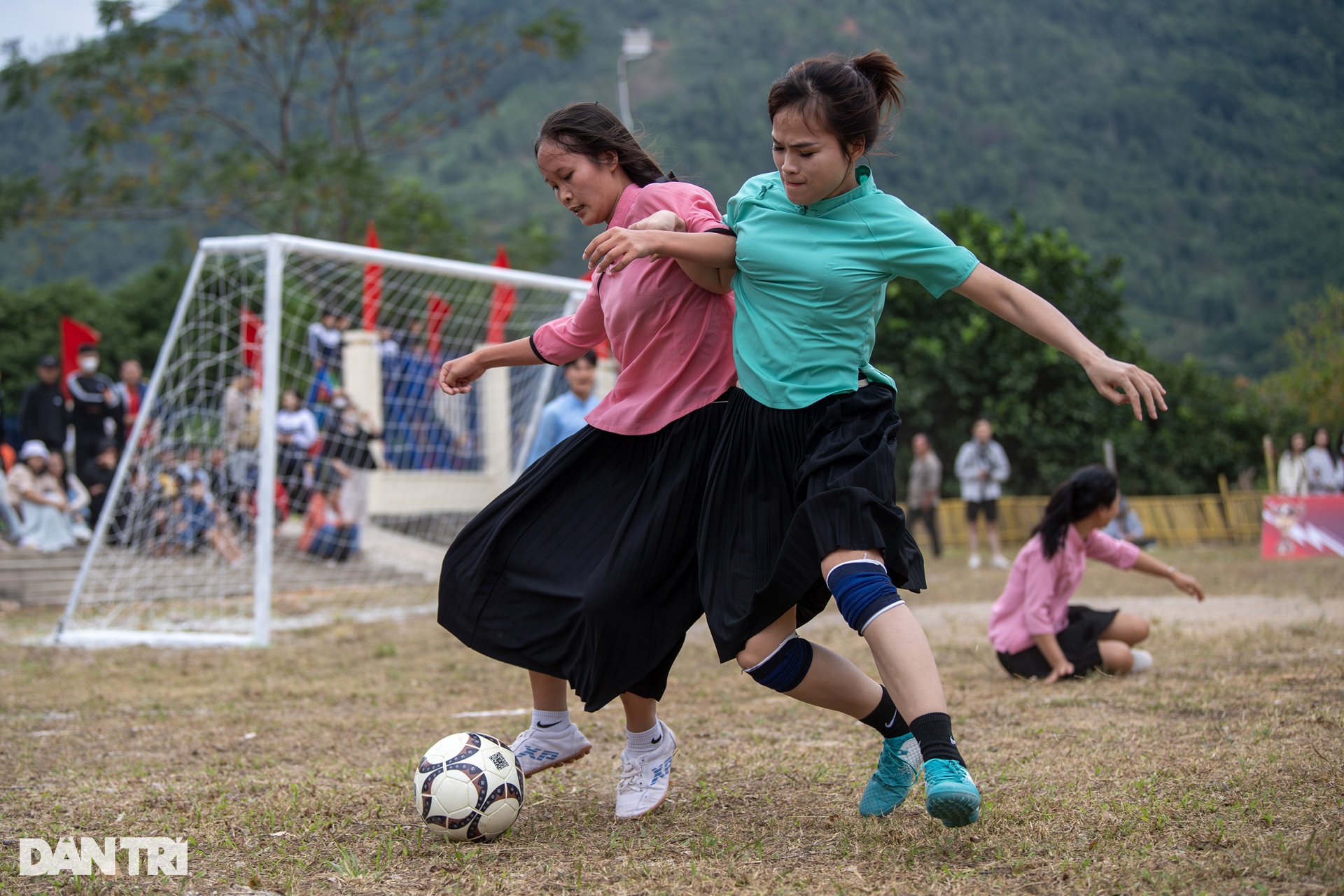 Hoa núi tranh tài - 3