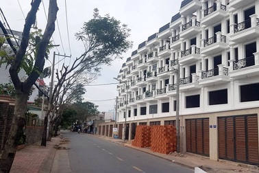 TP.HCM: Hàng loạt cây xanh trước dự án “khủng” bị bức tử?