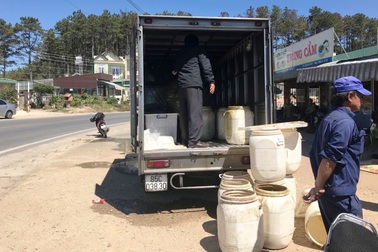 Ngủ trong xe chở tôm, đôi nam nữ thương vong