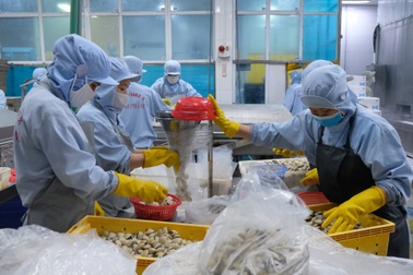 Nhiều doanh nghiệp mở rộng sản xuất, cơ hội cho hàng ngàn lao động