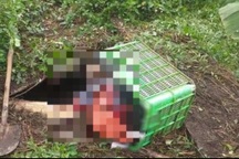 Khởi tố, tạm giam đối tượng giết chủ nợ, phi tang xác dưới hầm biogas