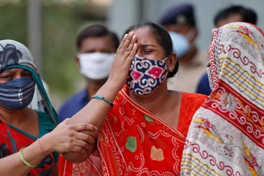 Ấn Độ cảnh báo người dân tránh dùng phân bò chữa Covid-19