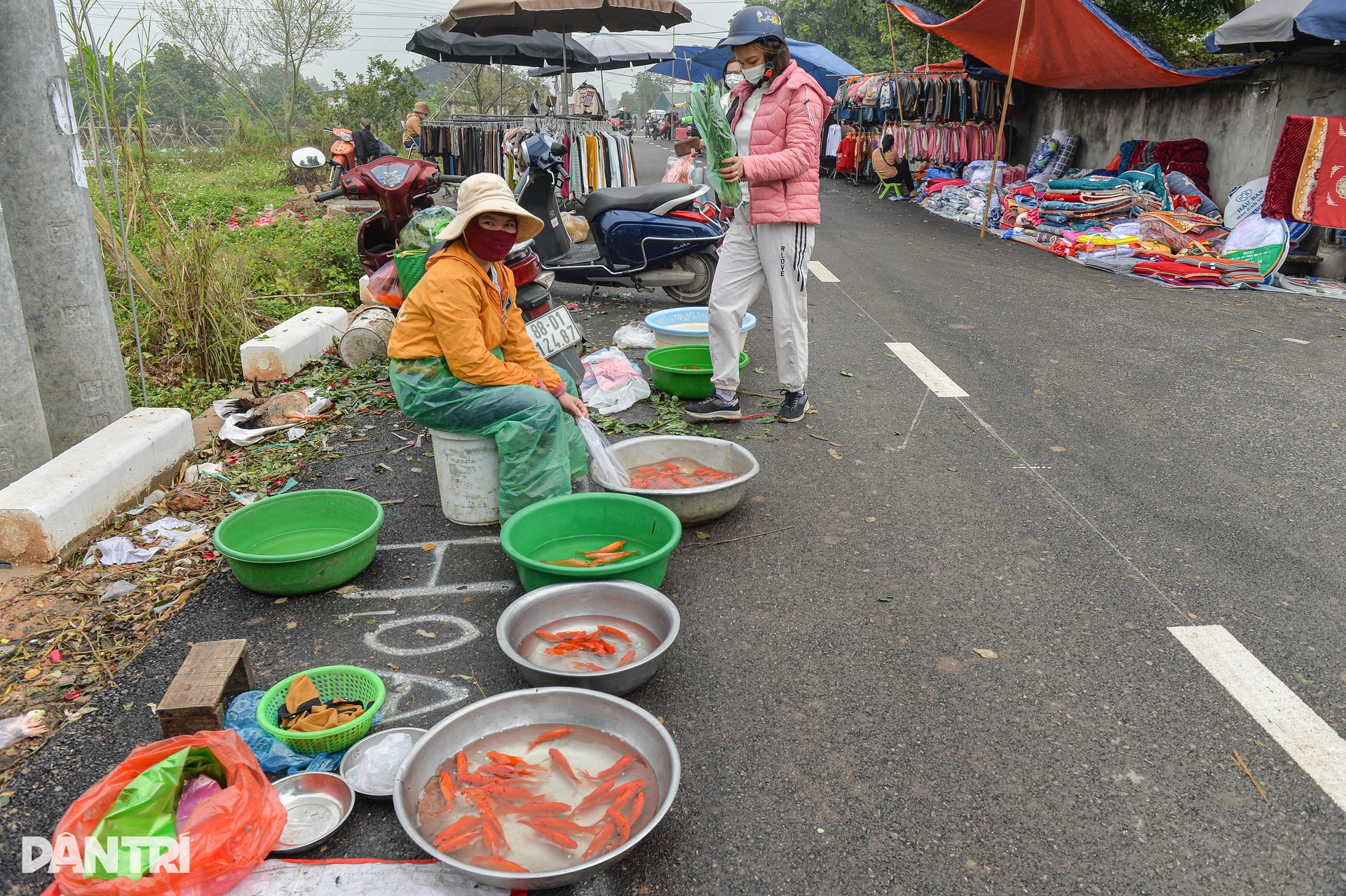 Hà Nội: Độc đáo chợ phiên Thanh Nhàn đúng ngày cúng ông Công, ông Táo - 3 Hà Nội: Độc đáo chợ phiên Thanh Nhàn đúng ngày cúng ông Công, ông Táo - 3